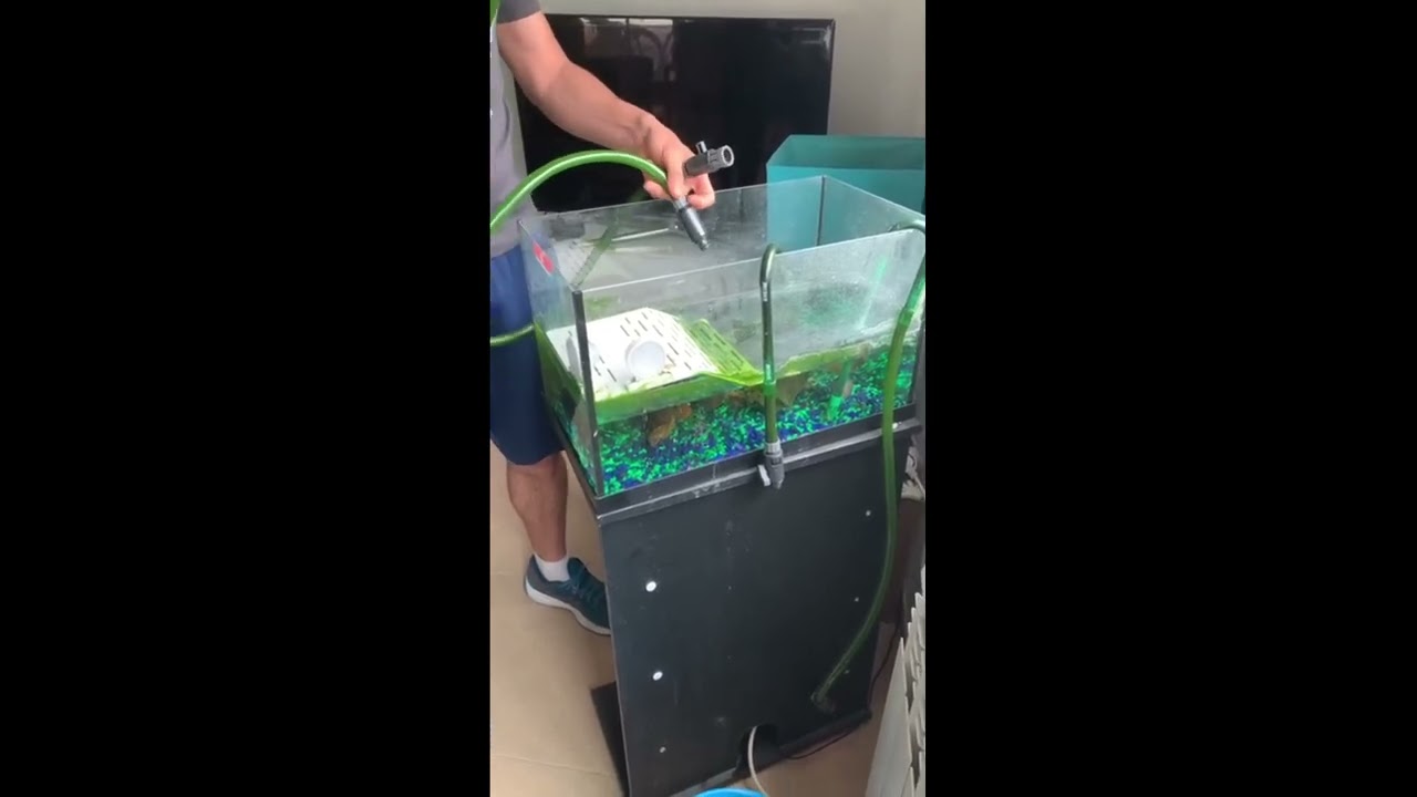 Cebar filtro Eheim con llave