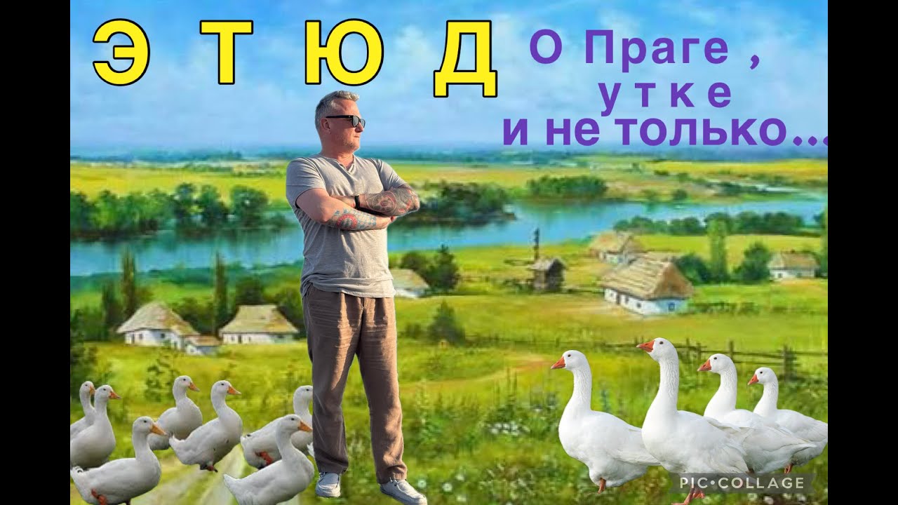 ETUDE о Праге, утке и не только...