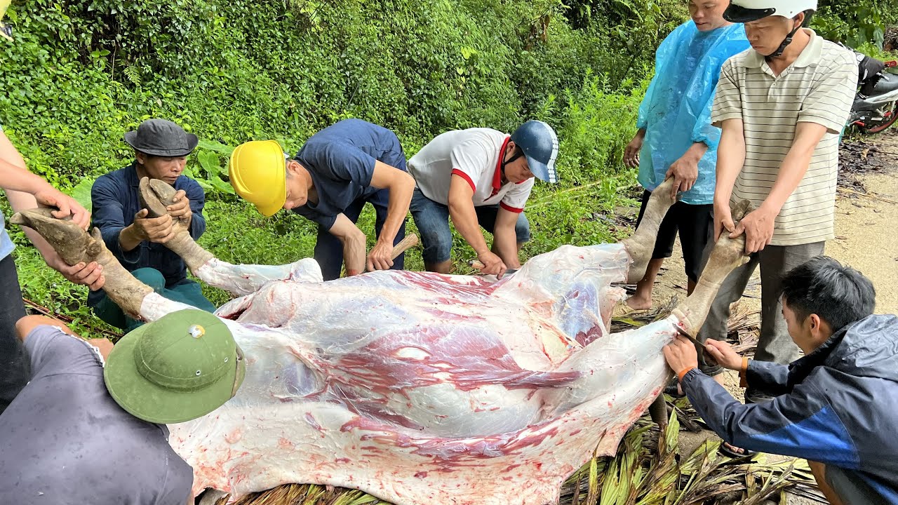 SAPA TV | SẺ TRÂU KHỦNG CẢ LÀNG CHIA NHAU VỀ CÚNG THẦN TRỜI CỦA NGƯỜI NÙNG Ở HOÀNG SU PHÌ HÀ GIANG