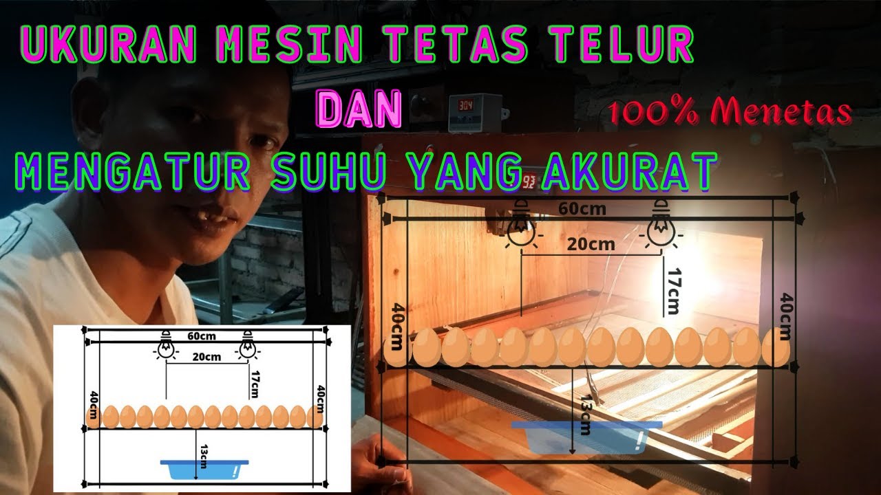 UKURAN BOX MESIN TETAS TELUR DAN SUHU YANG AKURAT, AGAR 100% MENETAS