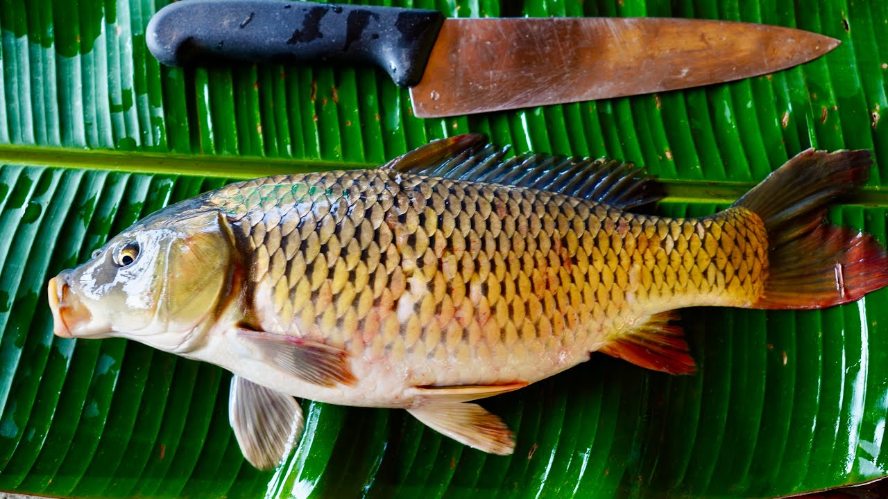 Fresh Fish Fry | Fish Curry Recipe | Cooking in Village Style