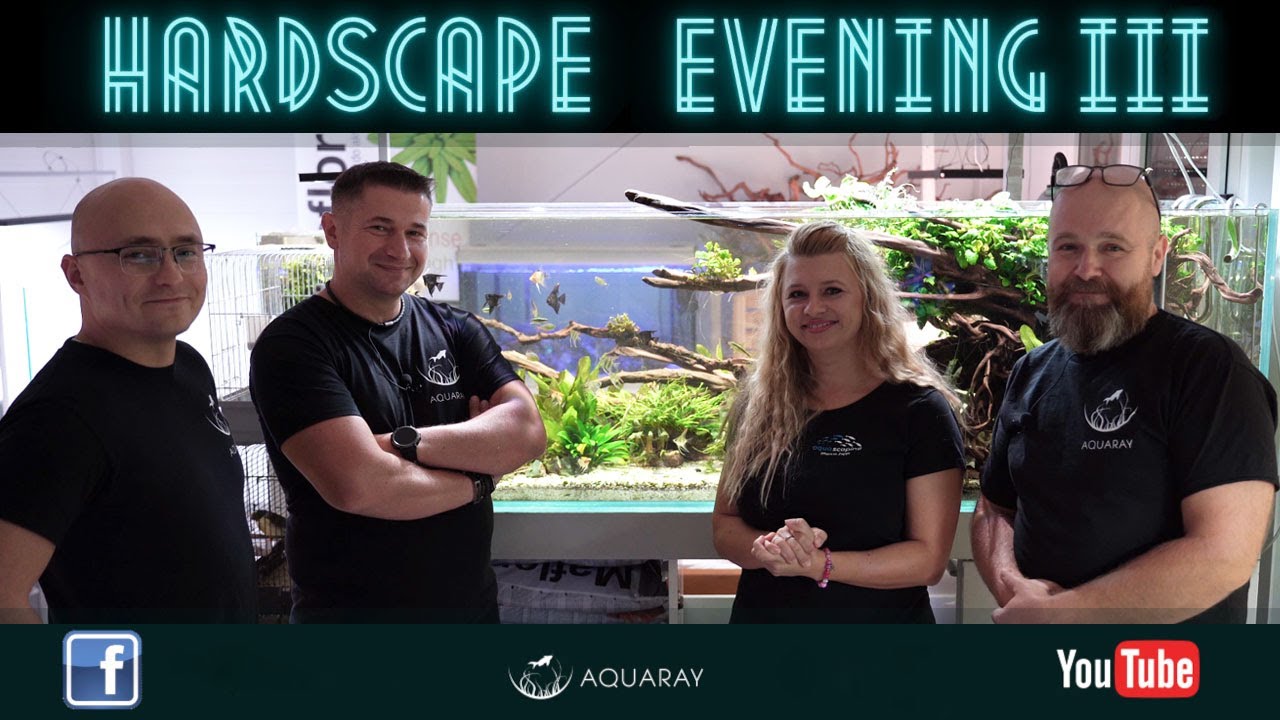 HE III w Studio Akwarystyki GREEN ART - Aranżujemy zbiornik ROTALA SUPER PURE TANK 300L - ZAPOWIEDZ