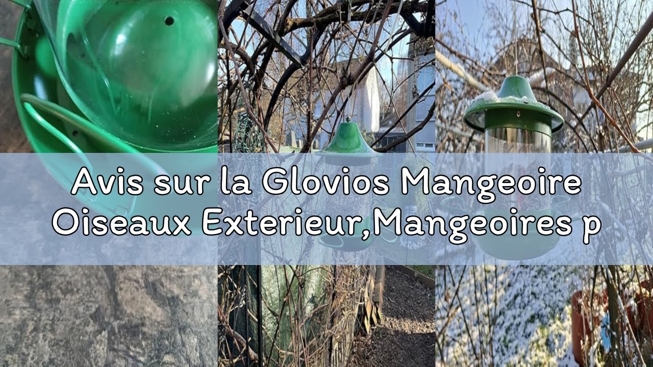 Avis sur la Glovios Mangeoire Oiseaux Exterieur,Mangeoires pour Oiseaux Sauvages,1.8L Grande Capacit