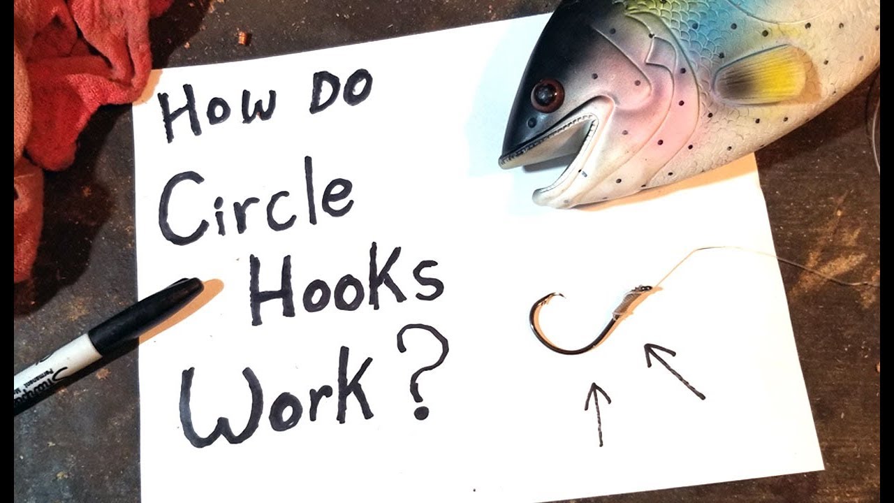 CIRCLE HOOK BASICS: How they work, how to use, how to get them out.