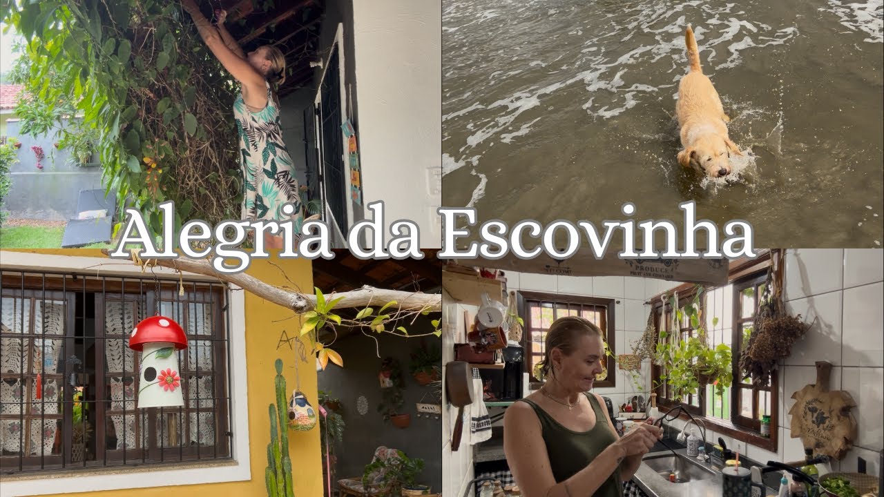 Gambiarra é vida 😅/  Podei o sapatinho de judia 🌿🌼🪴
