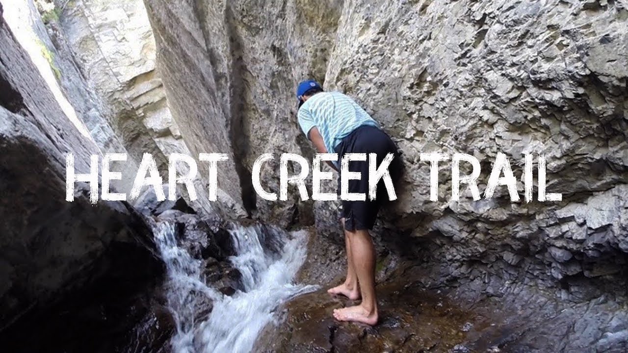 Canmore Adventures: Hiking Heart Creek Trail