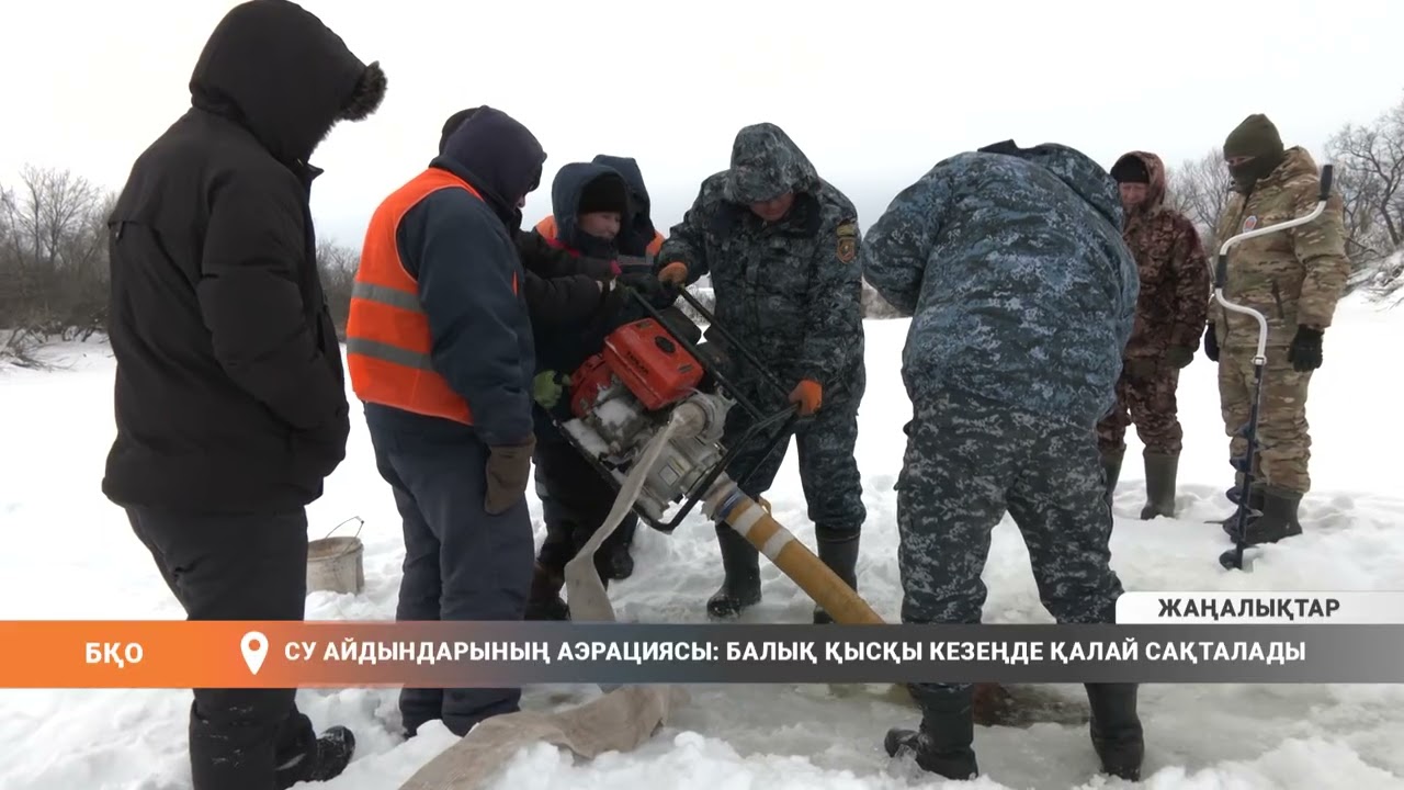 Су айдындарының аэрациясы: балық қысқы кезеңде қалай сақталады