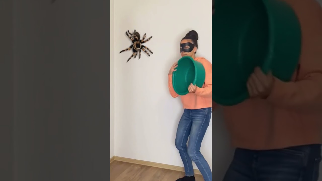 КАК ПОЙМАТЬ БОЛЬШОГО ПАУКА 😱