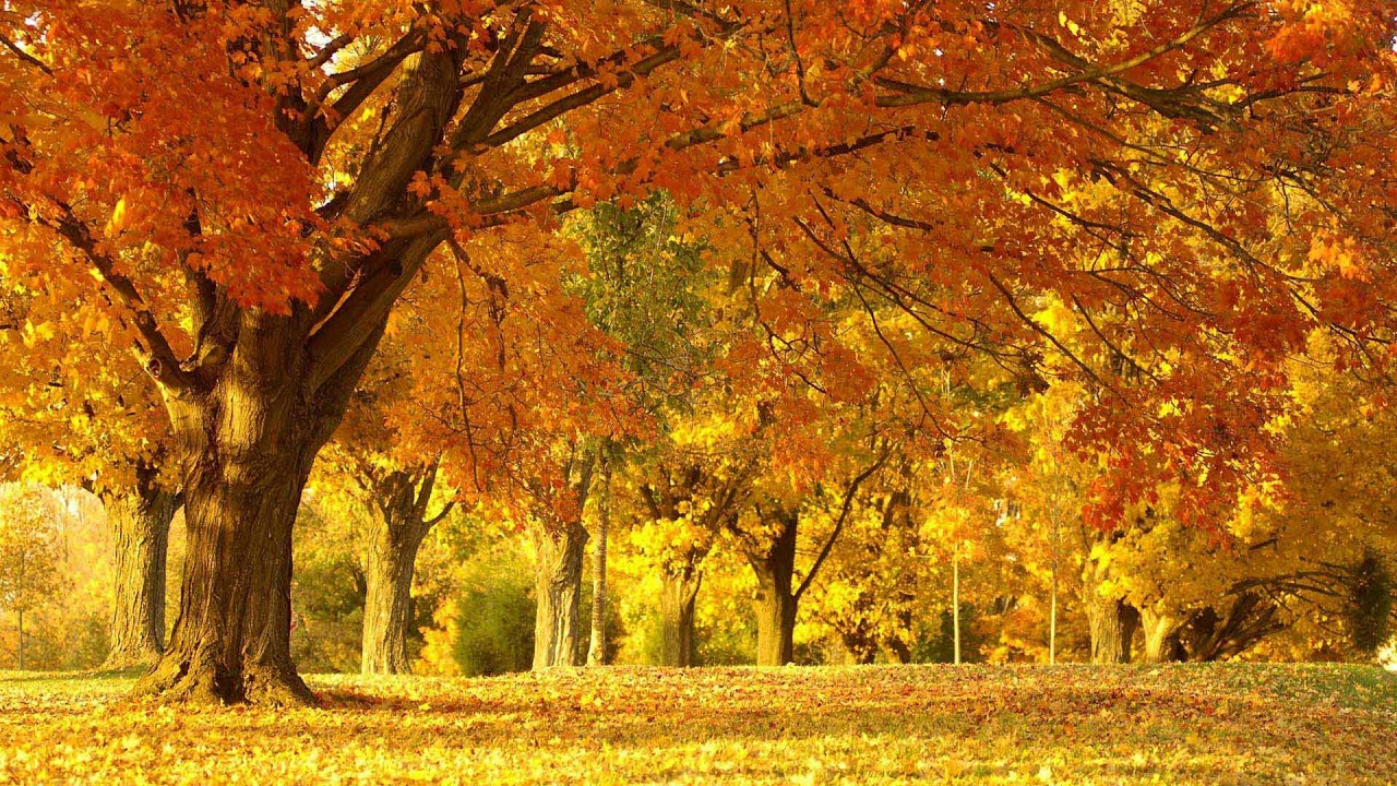 6 Best Inspirational Quotes - E.R. Braithwaite