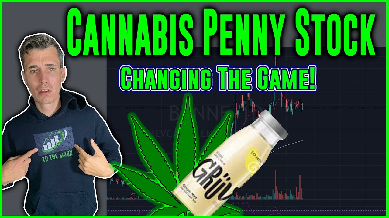 Cannabis Penny Stock Changing The Game! Penny Stocks To Buy Now?