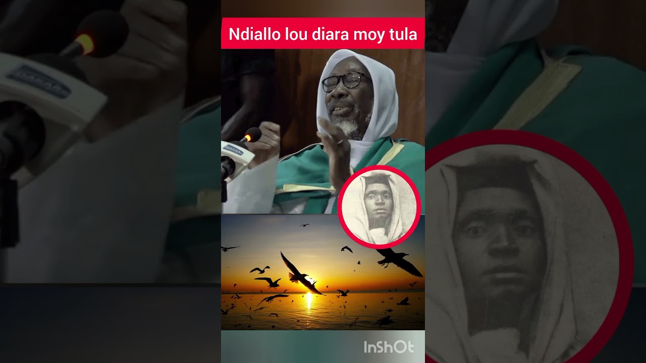 lou doy war ndiallo #senegal #gambia #information #salam221tv #mouhidine_samba_diallo #video  #islam
