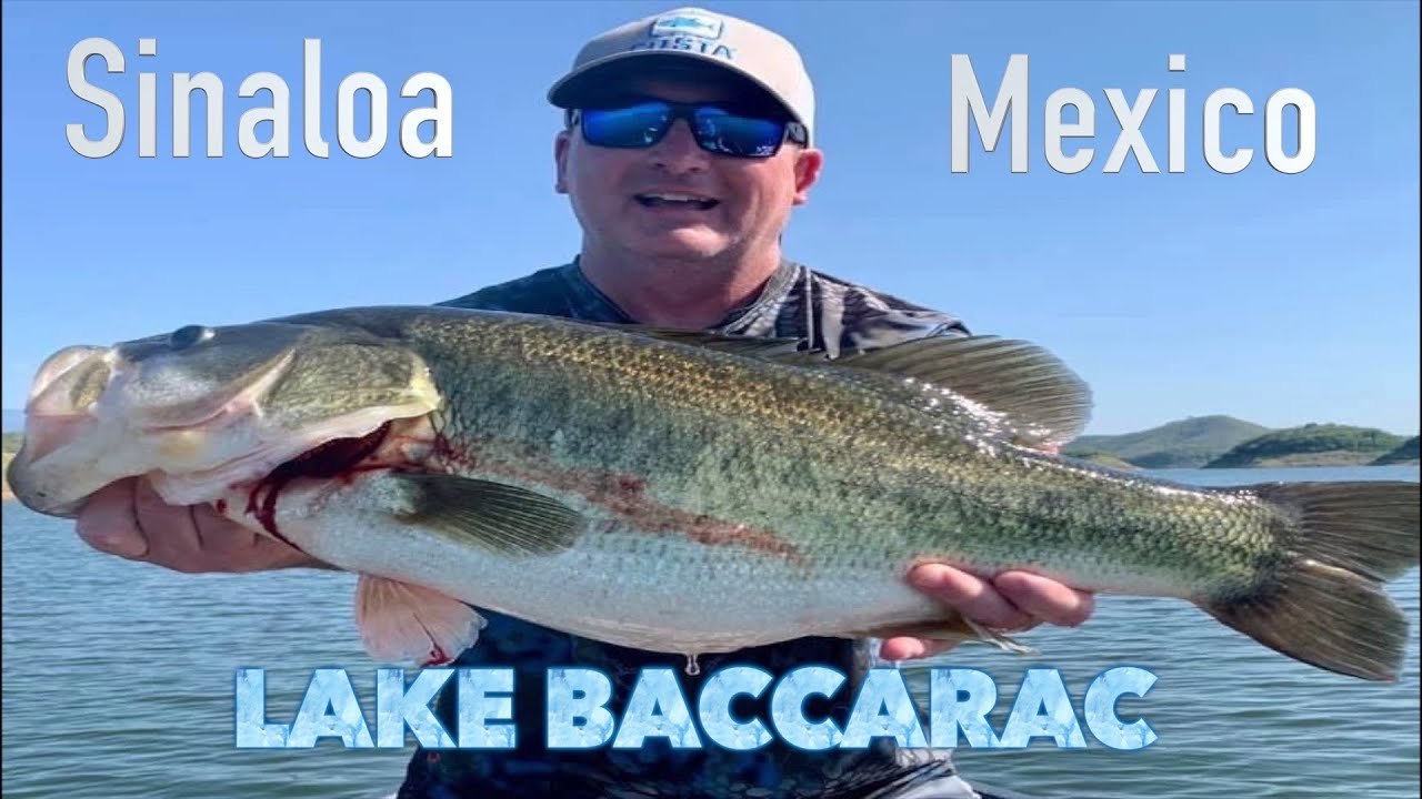 Topwater Bass Action at Lake Baccarac, Mexico! 🎣🔥