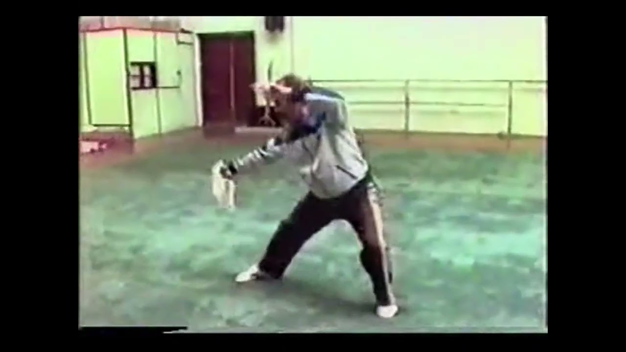 Bagua of the Sha Guozheng sword