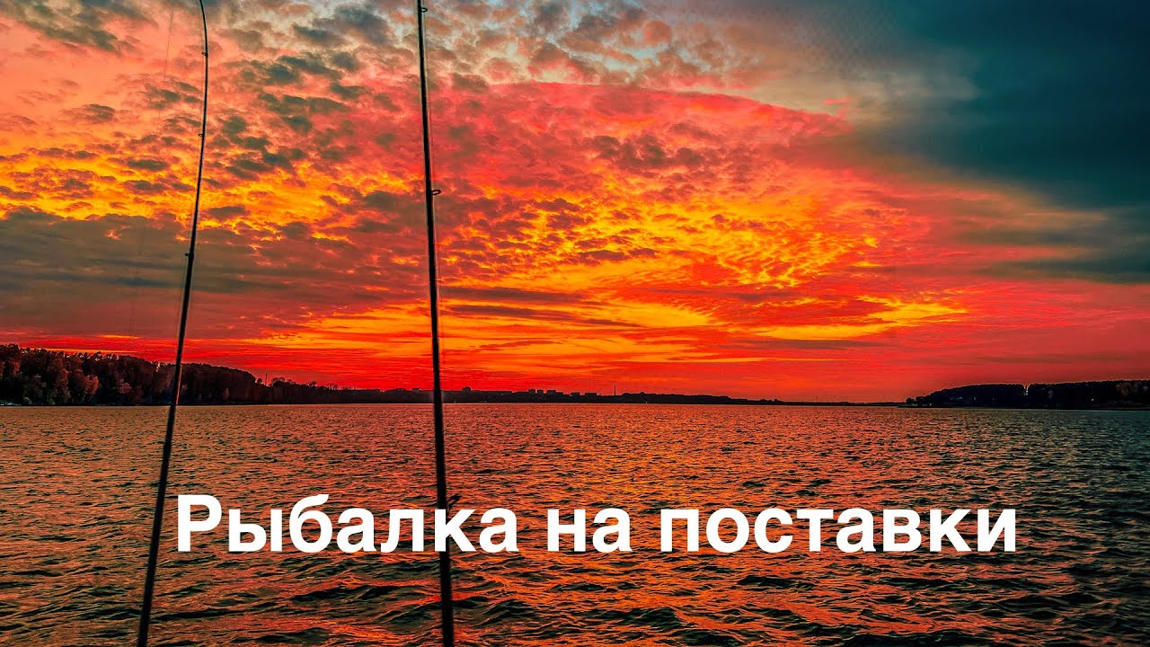 Рыбалка на поставки | Бердский залив | 4K