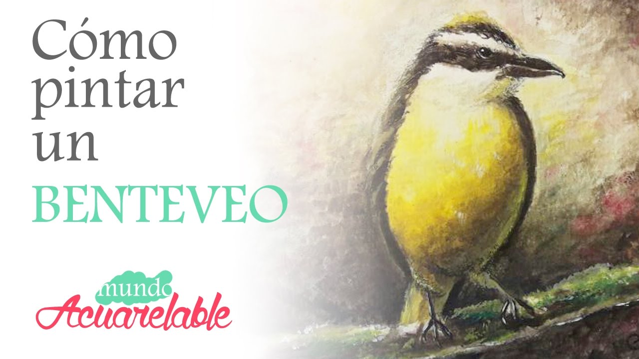 Cómo pintar un benteveo con lápices acuarelables