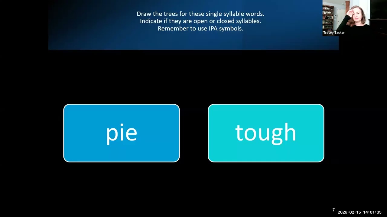 SLP 391 Syllable Trees