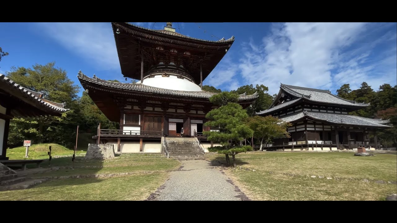 【和歌山県岩出市】根来寺（根來寺）（ねごろじ）ぶらり旅 行った気分&バーチャル参拝に、神仏霊場 第9番 Japanese temple in Wakayama.