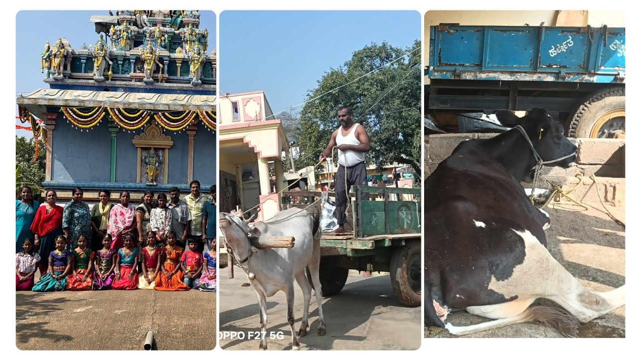 Suggi sambhrama ಸುಗ್ಗಿ ಕಾಲದ ತುಣುಕು ನೋಟ