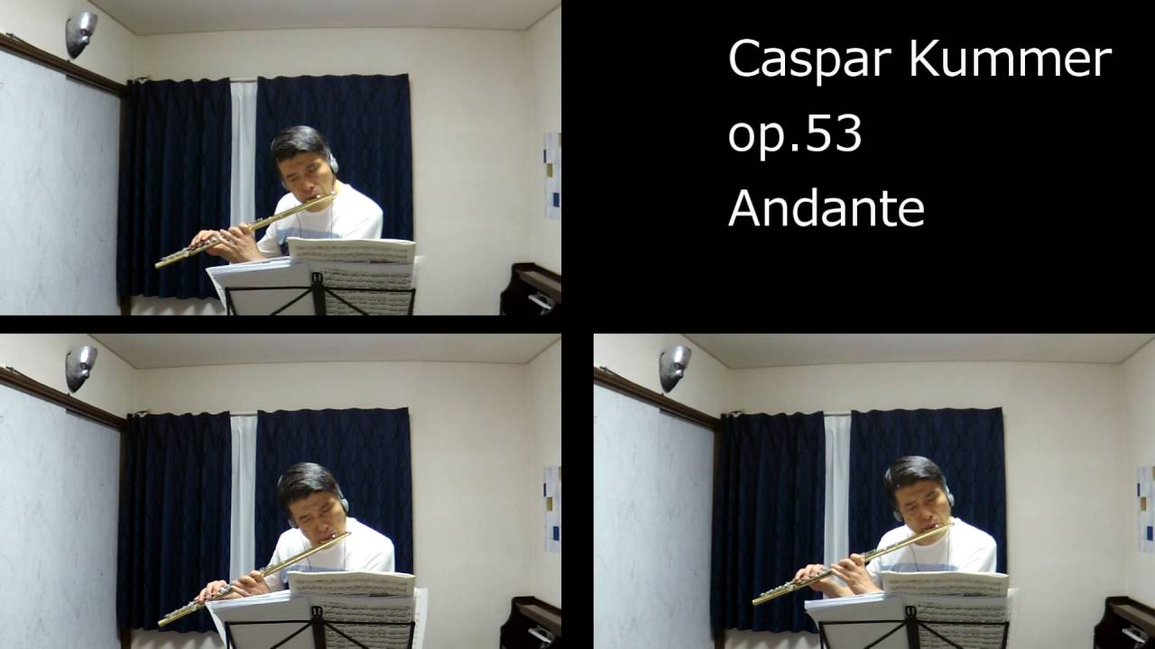 クンマー　フルートトリオ　op53からAndante/K. KUMMER: Flute Trio op.53  Andante
