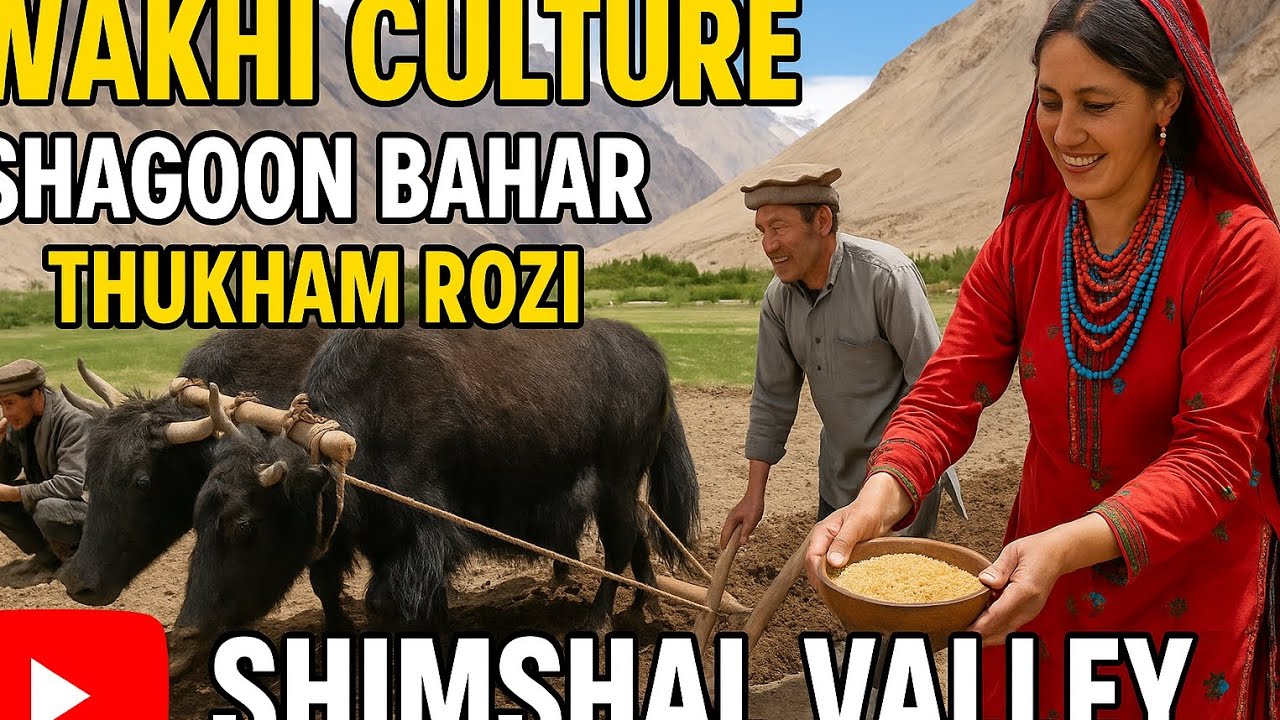 Wakhi Culture in Action | Shagoon Bahar 🌾 Thukham Rozi in Shimshal Valley || Shagoon Bahar Mubarak