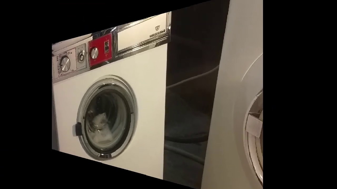 Indesit L6Bio Lavaggio Lana - Delicati (Wool - Delicates)