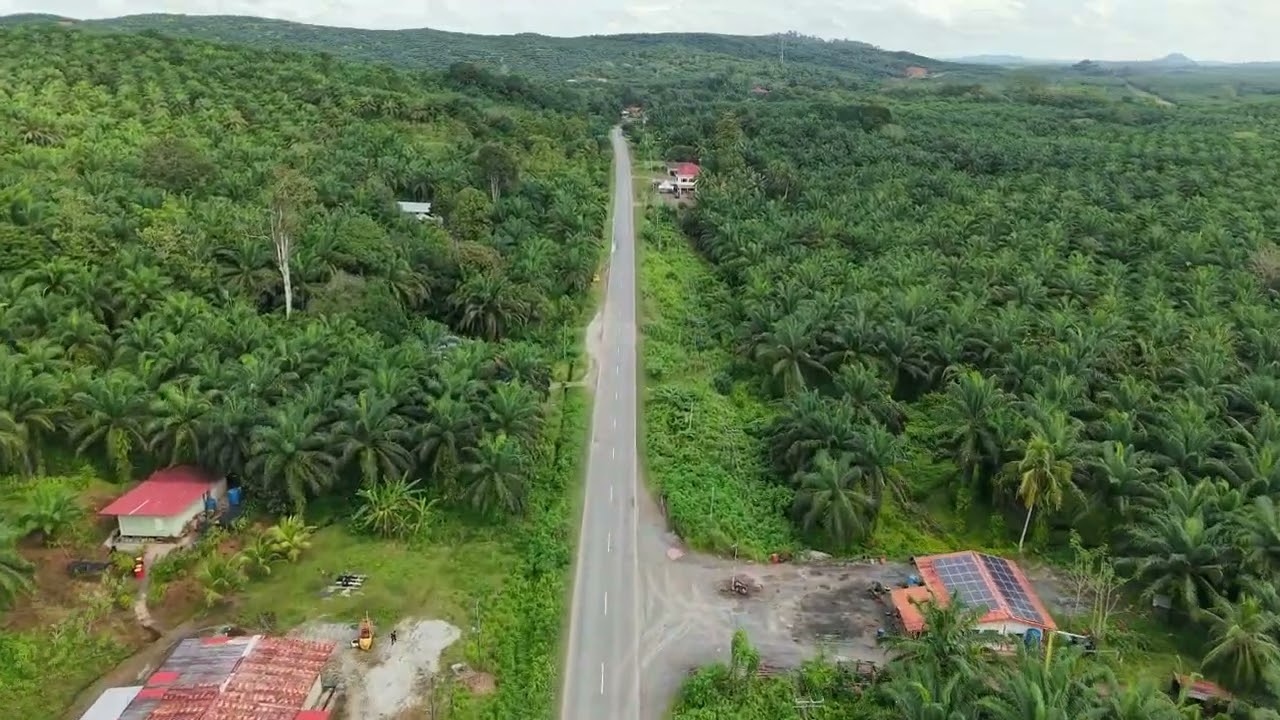 PAN BORNEO HIGHWAY SABAH WP24 March 2025