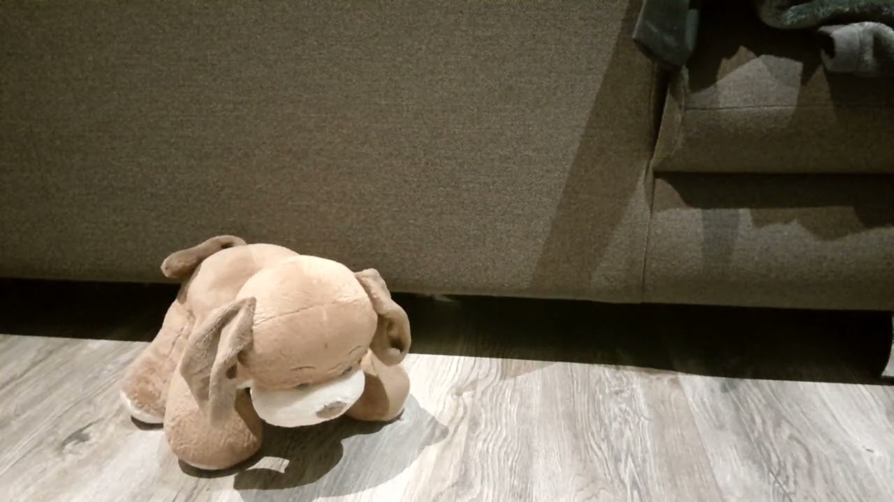 Trample plush build a bear dog. Teddy trample, teddy destruction, plush trample, plush destruction