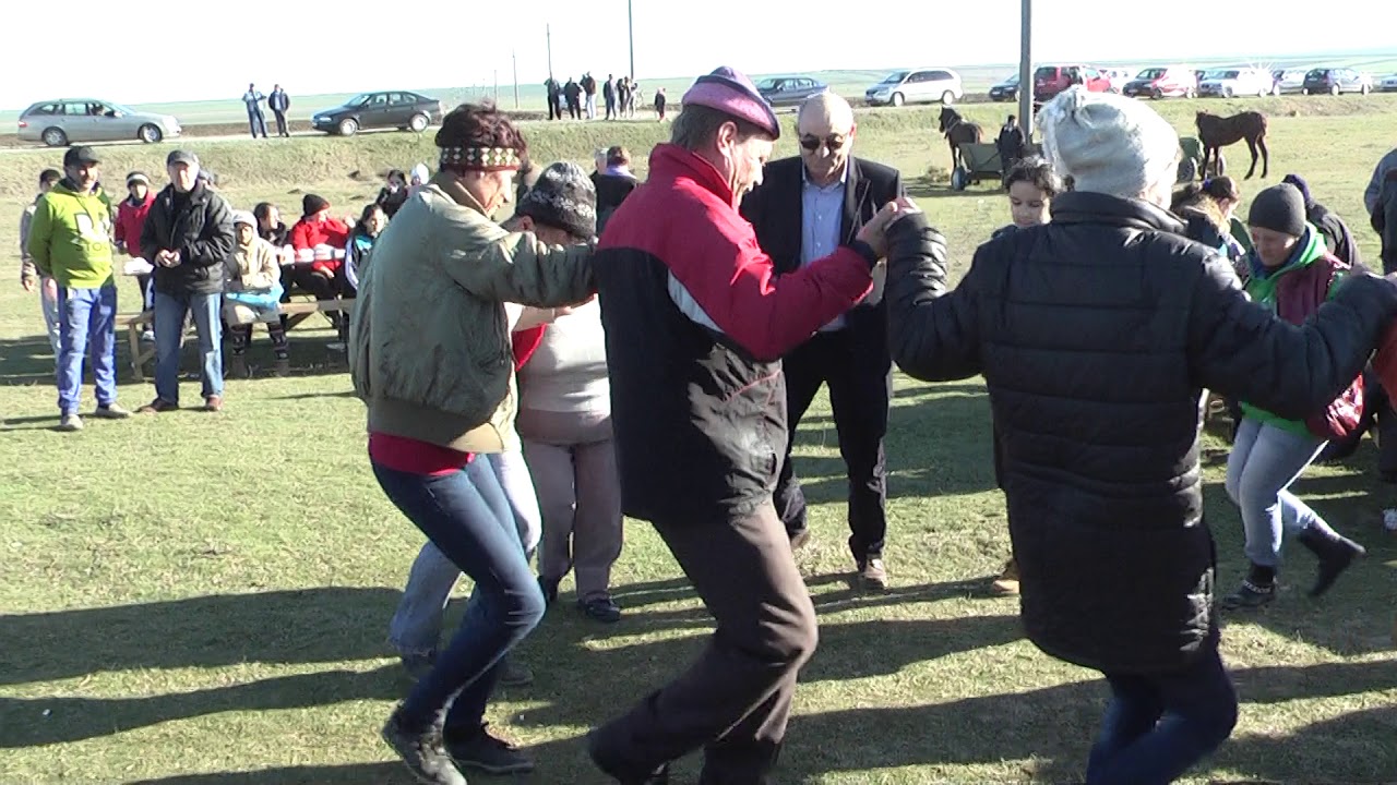 BOBOTEAZA   NICOLAE   BALCESCU   JUD   CONSTANTA   2018.
