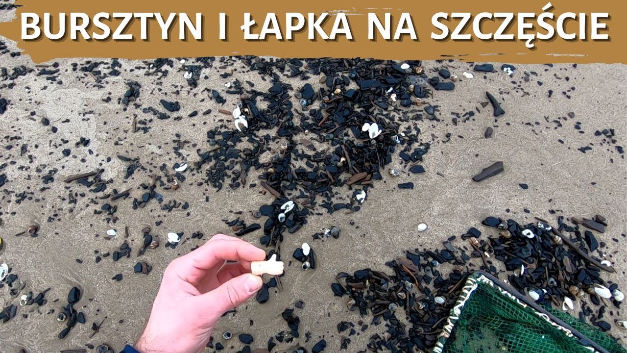 Bursztyn i łapka na szczęście - poławianie bursztynu - styczeń 2023 - bursztyn bałtycki