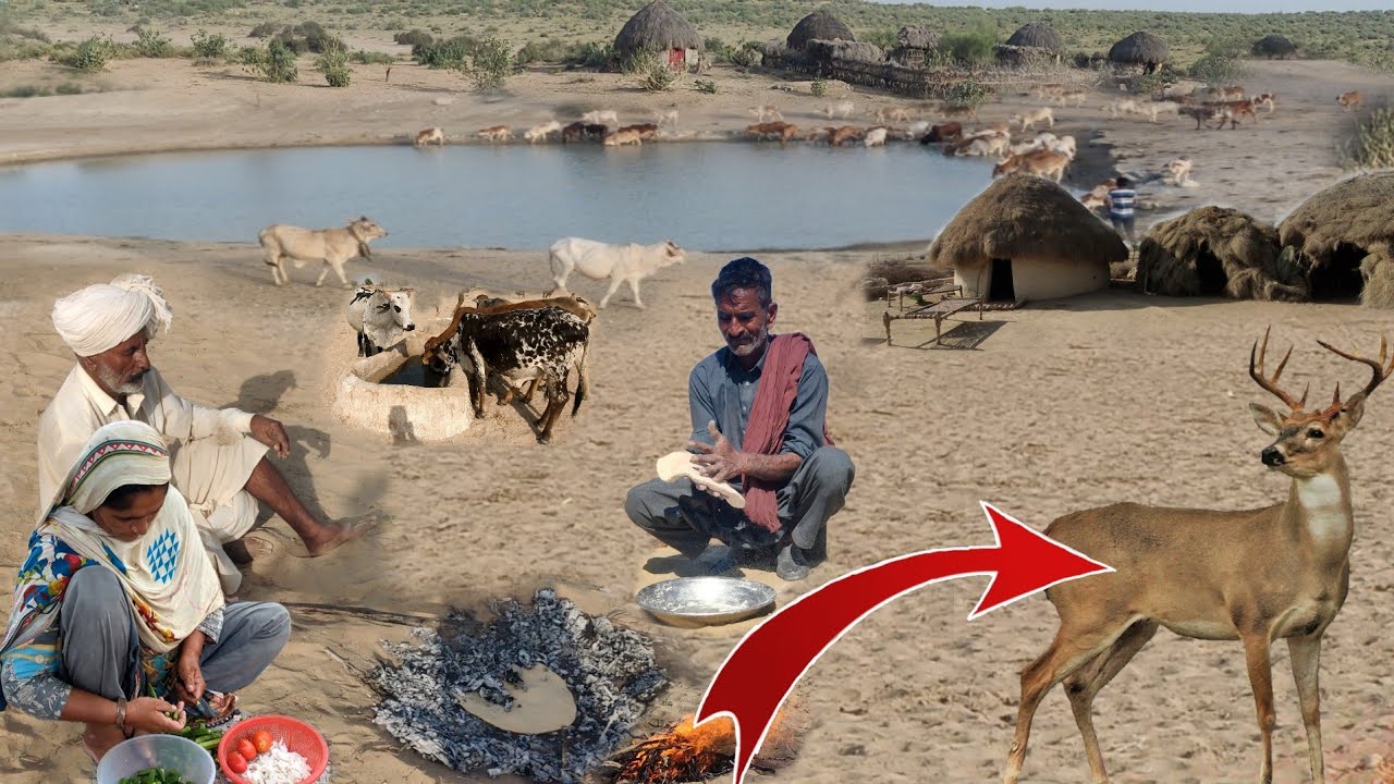 People living in the desert and morning routine || village women Pakistan