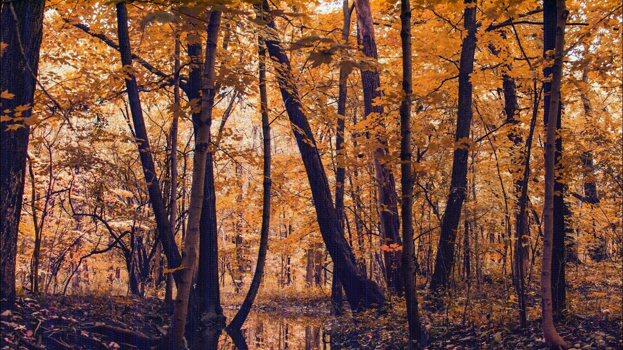 Relax with Nature Cinematic Music | Morning Music | Motivate To Your Action | #chillwithrelaxation