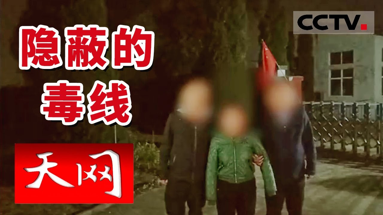 《天网》快递运输毒品！贩毒人员层级分明行踪难定 山西警方力排万难一举铲除毒贩 | CCTV社会与法