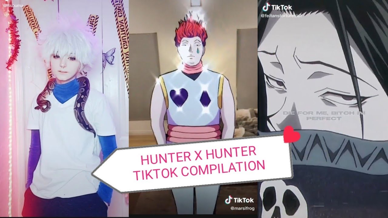 Hunter X Hunter Tiktoks that wont hurt you