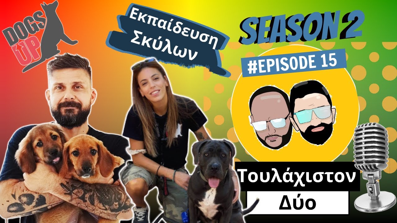 Πώς να εκπαιδεύσω το σκύλο μου; - DogsUp || Ελληνικό Podcast