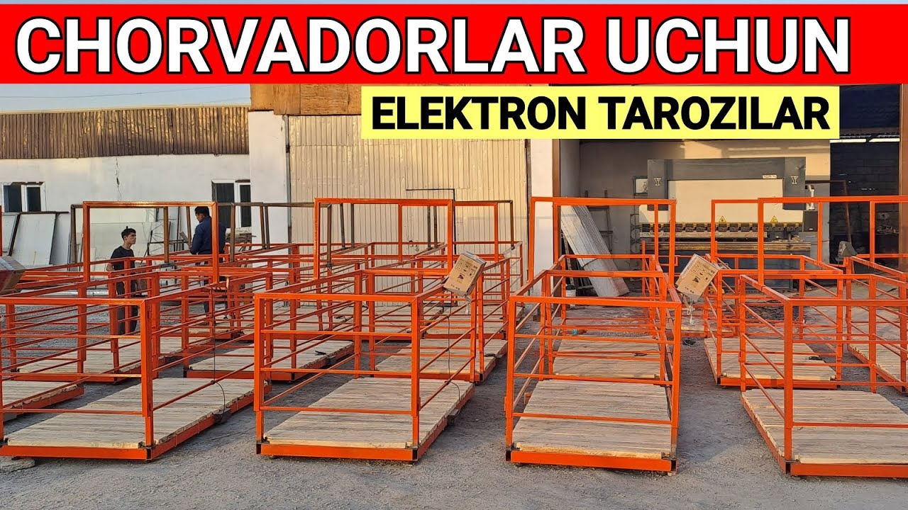 TAROZI NARXLARI 2025 OPTOM JOYI