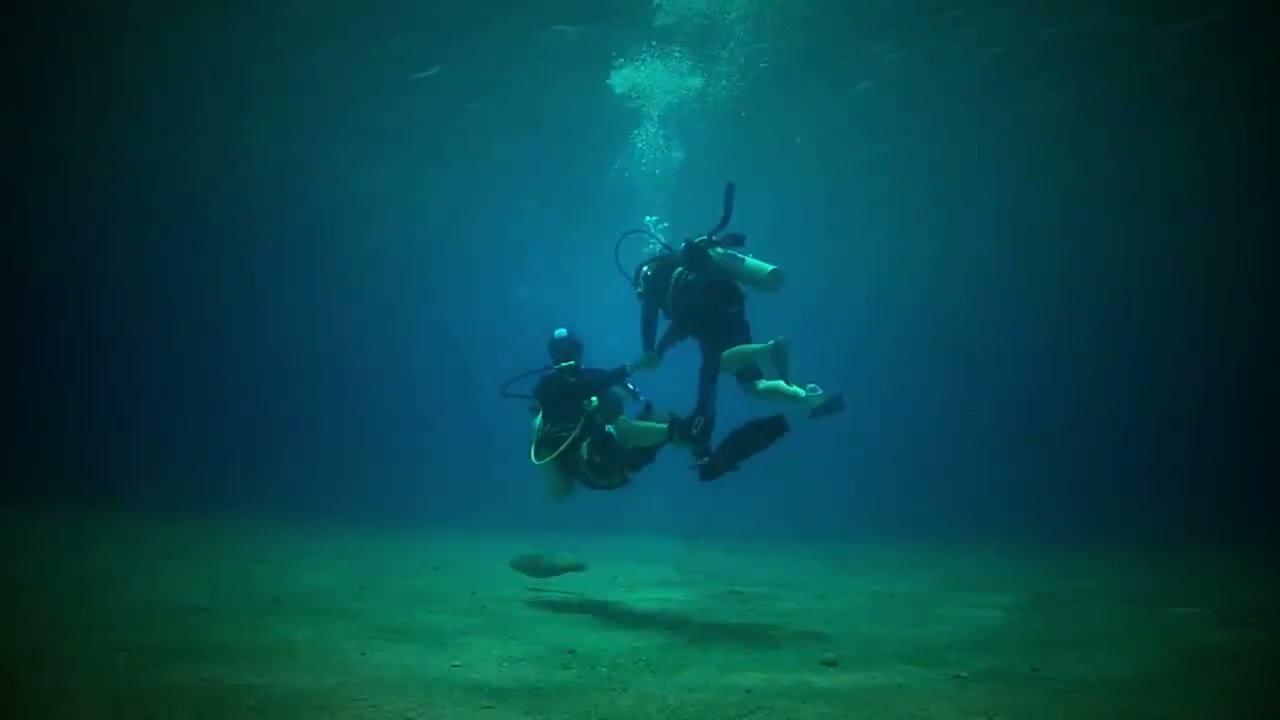 התורה חיינו - משל השועל והדגים