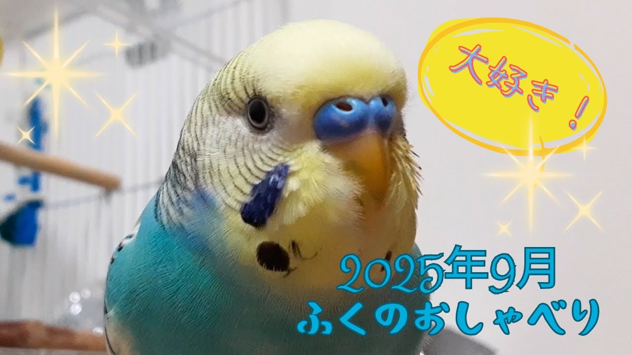 #043 20250928　ふくのおしゃべり2025年9月編
