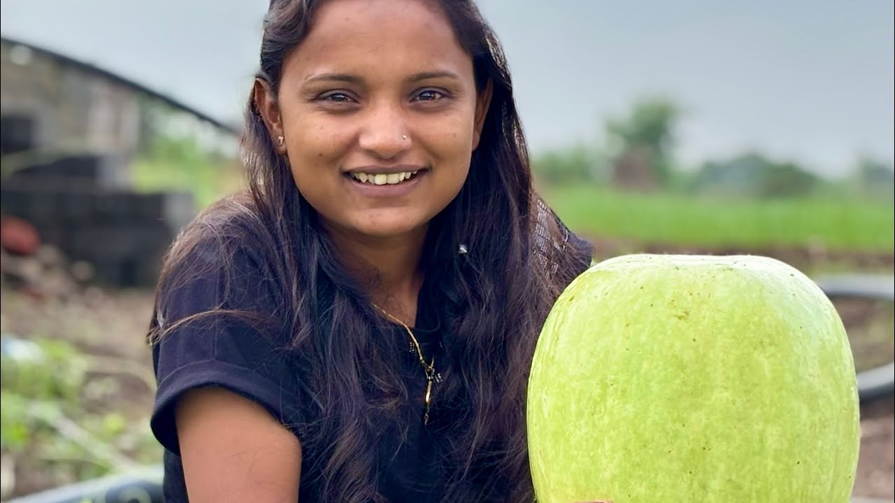 Vlog_132 તુંબડી માથી શું શું બને #mitachauhan #trending @Mita_Chauhan 