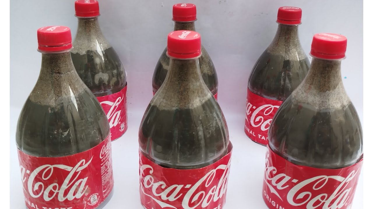 Amazing Ideas With Plastic Bottles and Cement | How to decorate your home to become Beautiful  