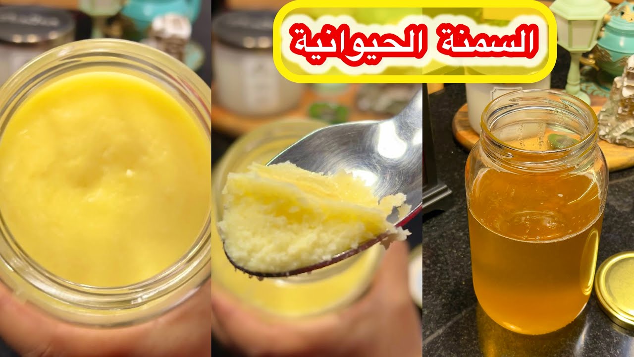 طريقة عمل السمنة الحيوانية البلدي في البيت | سمنة صافية وناجحة 100%