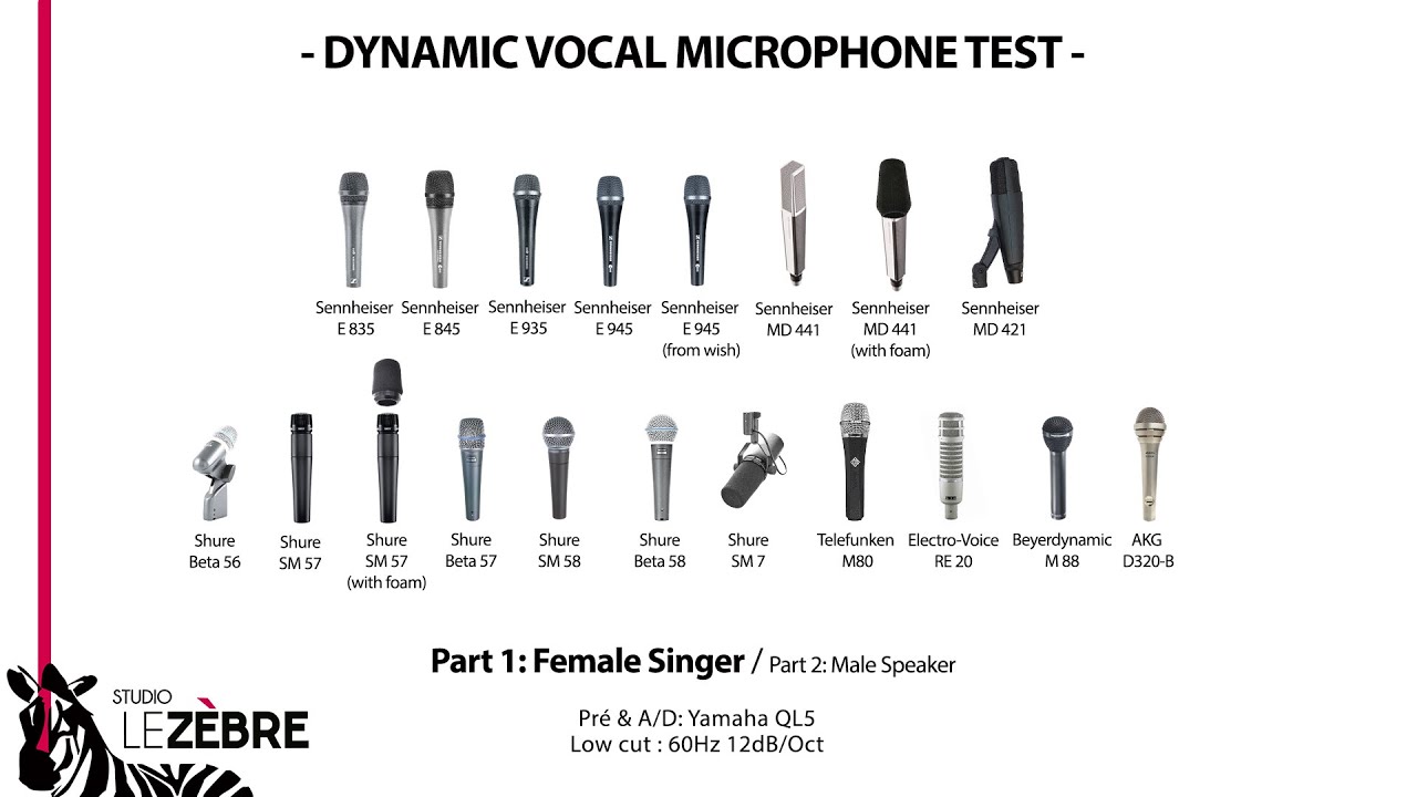 DYNAMIC VOCAL MICROPHONE TEST by Studio Le Zèbre (Sennheiser, Shure, Telefunken...)
