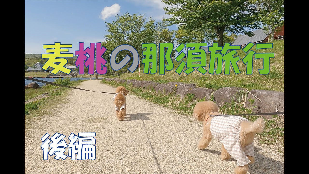 麦桃の那須旅行　後半　エンゼルフォレスト那須白河編