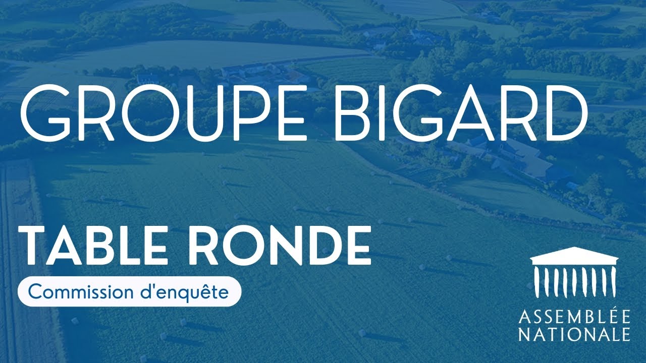 🔴 Audition du pdg du groupe Bigard sur les raisons de la perte de souveraineté alimentaire de la 🇫🇷
