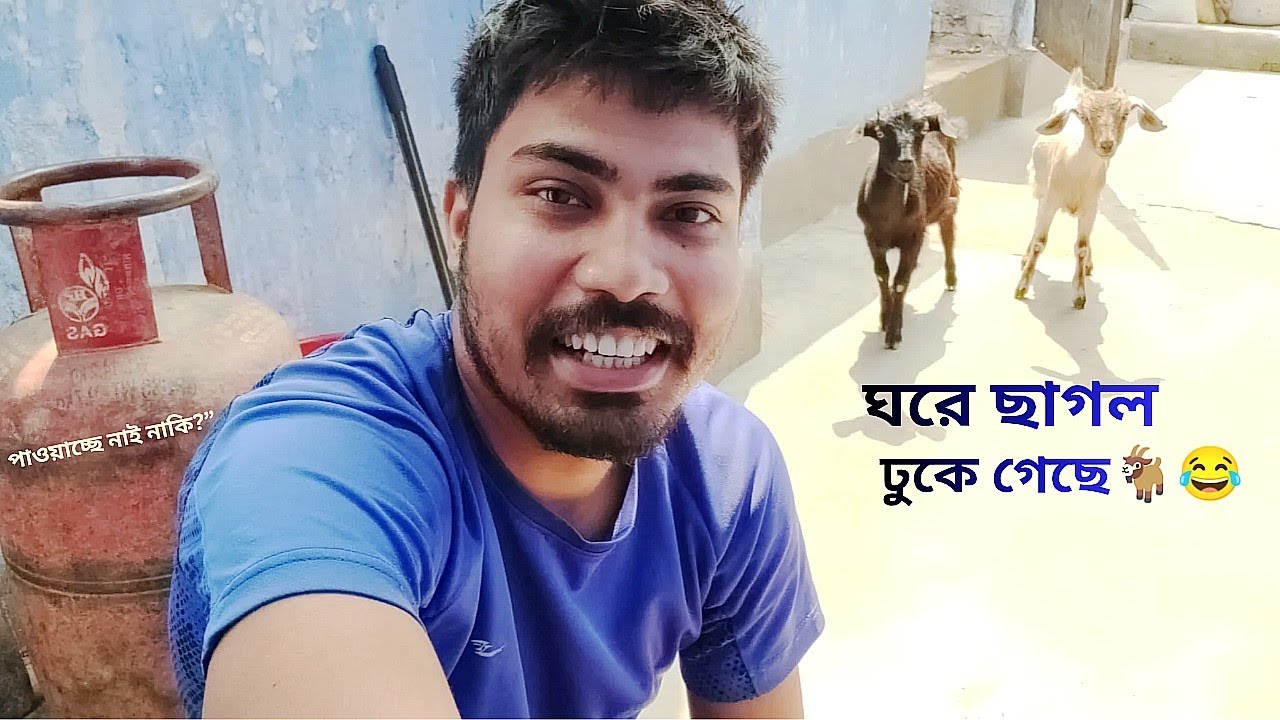 সকালে দরজা খুলে দেখি ঘরে ২টা ছাগল! 😱 | Daily Vlog