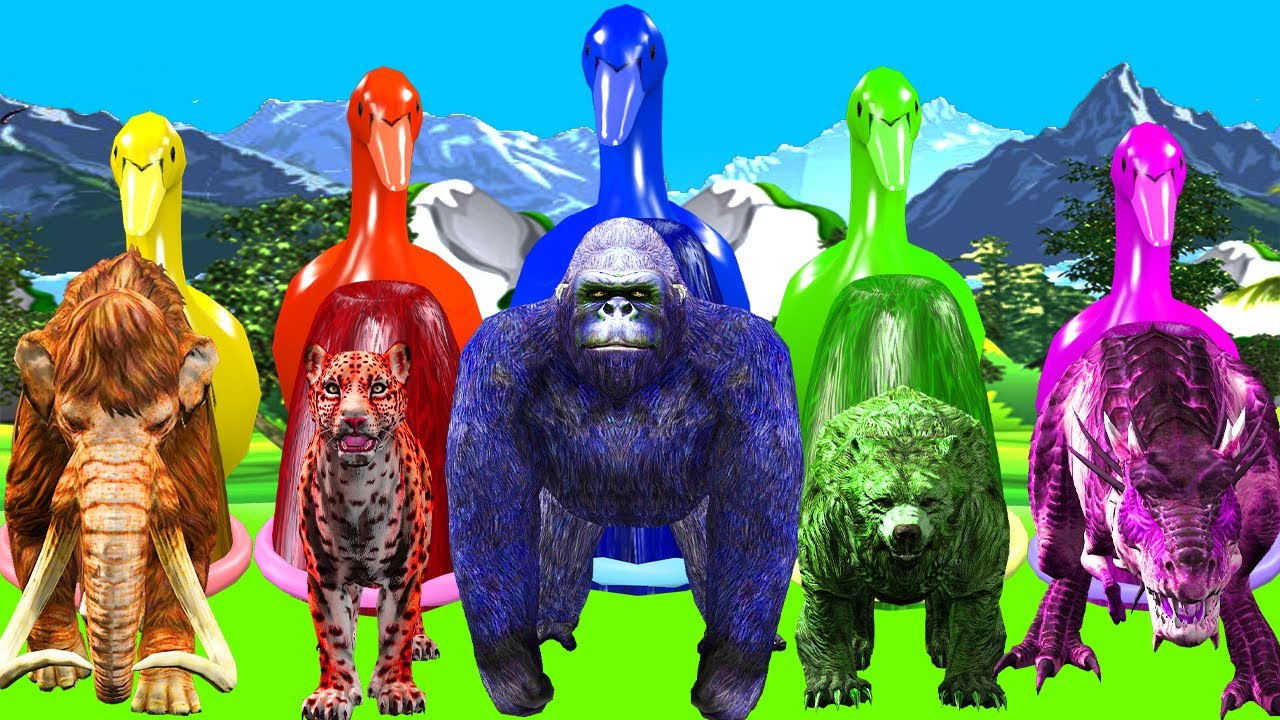 Mystery key Funny Slides 5 Giant Ducks Wilde animals wholly Mammoth, Gorilla Dinosaurs Jaguar