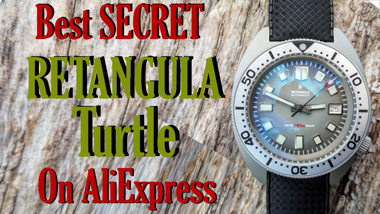 Best Secret on Ali Express, The RETANGULA Turtle!