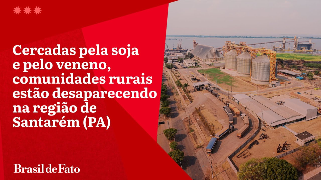 Comunidades rurais estão desaparecendo junto com a Amazônia na região de Santarém (PA)