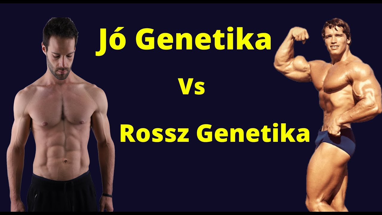 Mennyit számit a genetika? (Izomépités, erősödés)