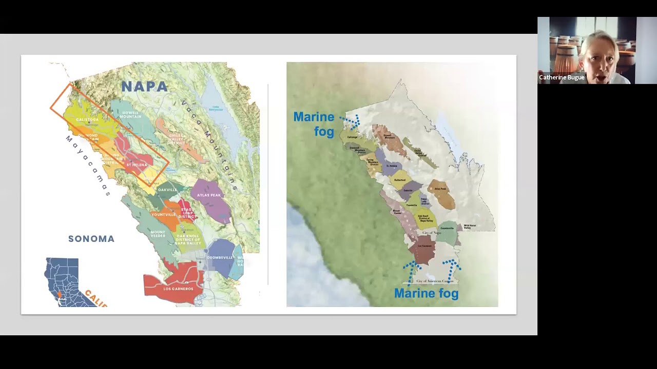 A close look at Napa Valley Cabernet Sauvignon