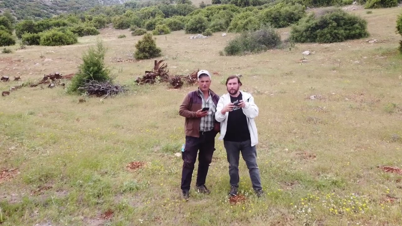 İleydağı 423